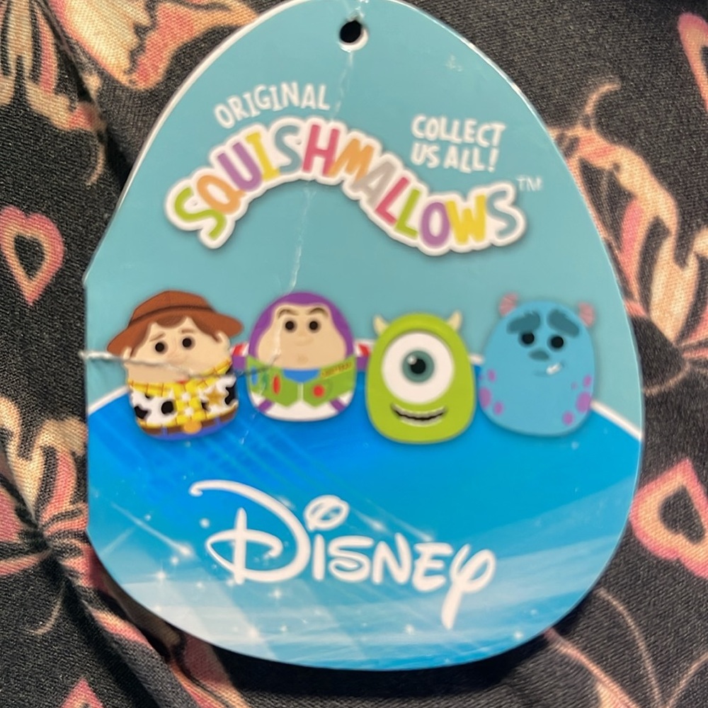 Sully - Picture 3 of 3